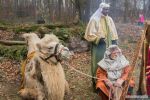 Levende Kerststal Enter 2018 9